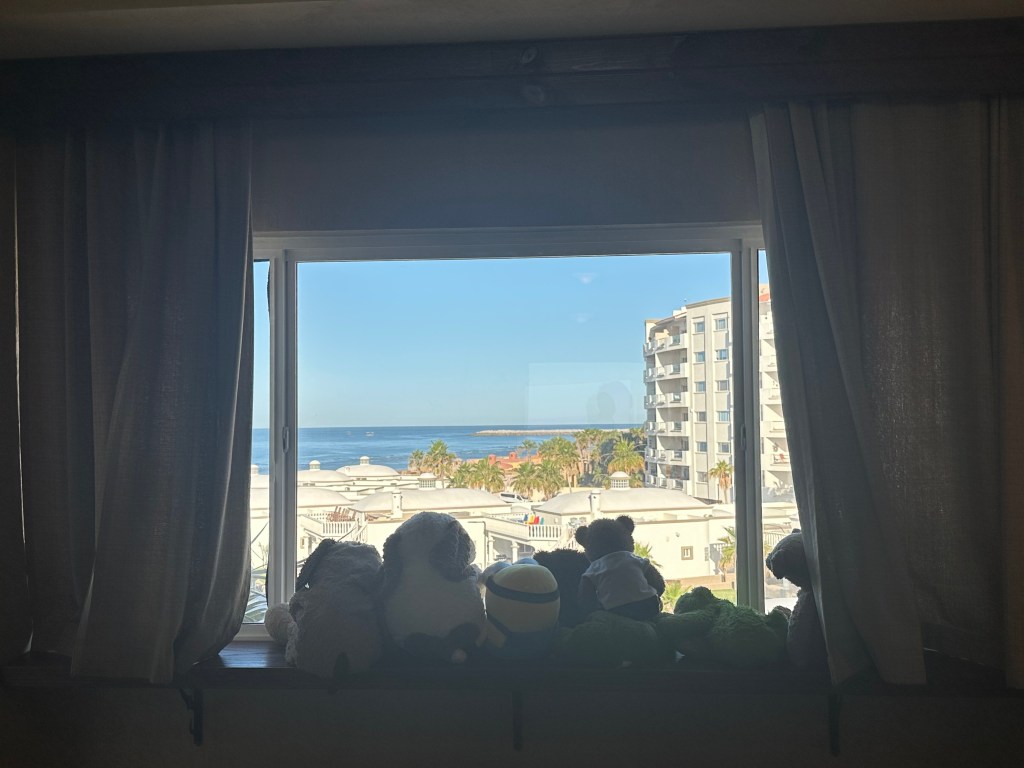 A Statement Regarding The Future Of Bear Sports&nbsp;News